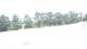 Pittsburg, Illinois 14.07.2025 12:59