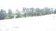 Pittsburg, Illinois 03.07.2025 12:59
