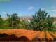 Pallini 30.04.2025 12:54