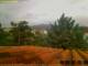 Pallini 29.04.2025 12:54