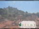 Soave 07.07.2025 12:54