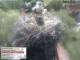 Aurach 30.04.2025 12:54