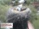 Aurach 08.05.2025 12:54