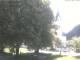 Bayrischzell 14.06.2025 12:46