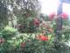 Cuxhaven 02.07.2025 12:54