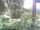 Cuxhaven 14.06.2025 12:54