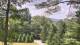 Swanton, Maryland 07.07.2025 12:03