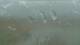 Monroe, Michigan 30.04.2025 12:06