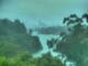 Linley Point 12.06.2025 12:54