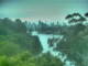 Linley Point 08.07.2025 12:54