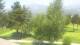 Barcelonnette 08.06.2025 12:56