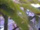Aix-en-Provence 10.05.2025 12:56
