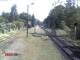 Wernigerode 05.06.2025 12:46