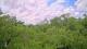 Metairie, Louisiana 30.04.2025 12:09