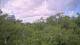Metairie, Louisiana 11.07.2025 12:09