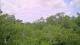 Metairie, Louisiana 08.06.2025 12:09