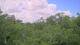 Metairie, Louisiana 02.07.2025 12:09