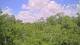 Metairie, Louisiana 14.06.2025 12:09
