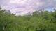 Metairie, Louisiana 11.05.2025 12:09