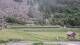 La Salle-les-Alpes 15.06.2025 12:57