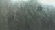 Fairview, Tennessee 08.06.2025 12:10