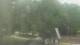 Fairview, Tennessee 14.06.2025 12:10