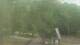 Fairview, Tennessee 29.04.2025 12:10
