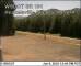 Beaver, Washington 08.06.2025 12:57