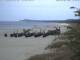 Trassenheide 29.04.2025 12:47