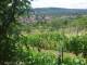 Feuerbach 11.07.2025 12:57