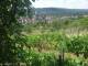 Feuerbach 12.07.2025 12:57