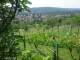 Feuerbach 08.06.2025 12:58