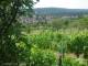 Feuerbach 12.06.2025 12:58