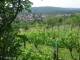 Feuerbach 14.06.2025 12:58