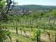 Feuerbach 10.05.2025 12:58