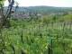 Feuerbach 29.04.2025 12:58