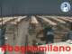 Cesenatico 02.07.2025 12:47