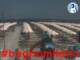 Cesenatico 14.07.2025 12:47