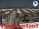 Cesenatico 22.06.2025 12:47