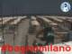 Cesenatico 14.06.2025 12:47