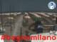 Césenatico 14.06.2025 12:47