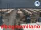 Césenatico 15.06.2025 12:47