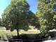 Blaubeuren 11.05.2025 12:58
