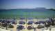 Pittulongu (Sardegna) 22.06.2025 12:58