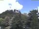Parkstein 10.05.2025 12:58