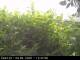 Presseggersee 09.06.2025 12:47