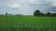 't Zandt 15.06.2025 12:58