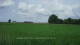 't Zandt 09.06.2025 12:58