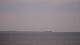 Saint-Gildas-de-Rhuys 06.05.2026 12:08