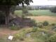 Schneverdingen 09.07.2025 12:47